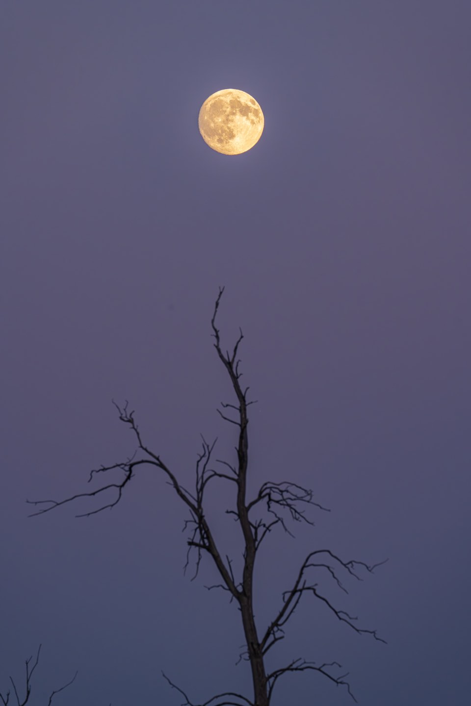 加拿大 第 9 张照片