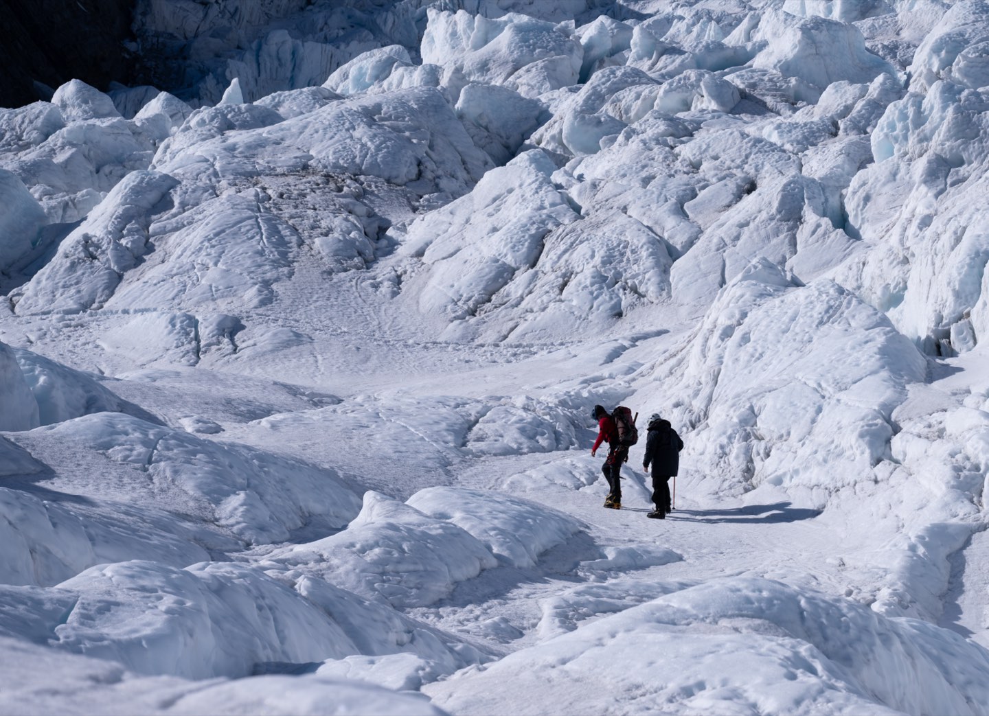 新西兰 第 3 张照片