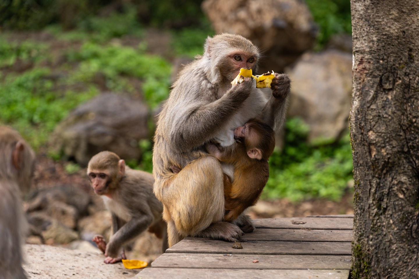 云南腾冲 第 4 张照片